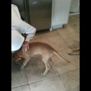 Meet your Posher, Judith